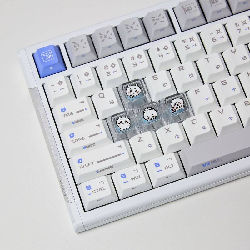 Набор из 4 прозрачных кастомны – обзор и цена Gaming Accessories Decor